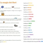 la magia dei fiori